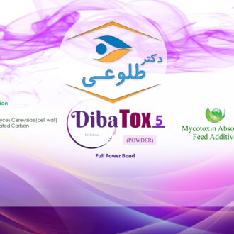 دیباتوکس